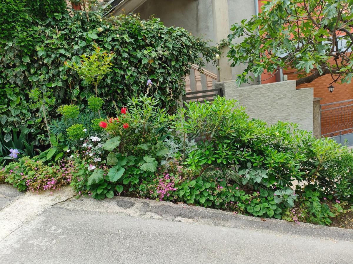 Studio Apartman Rea Kotor Exterior photo
